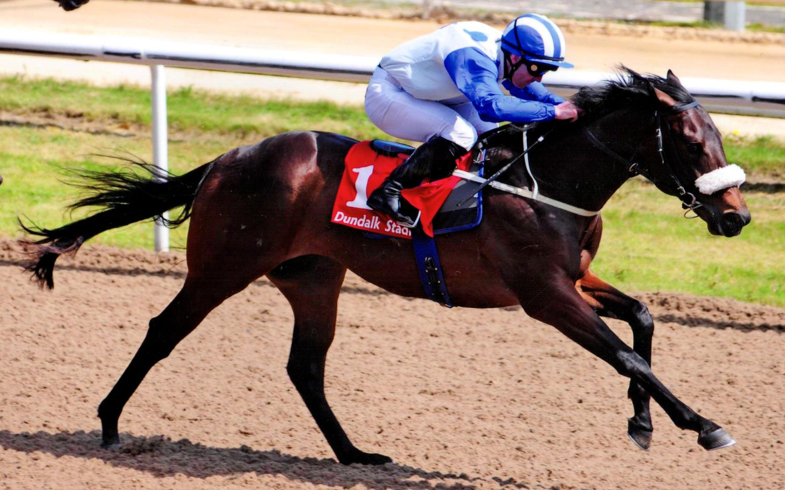 ANDRE AMAR gives Glenburnie our first two year old winner this season Dundalk, 6th May 2018